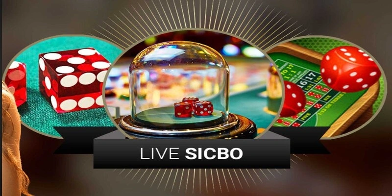 Cược Sicbo độc quyền tại Kubet88