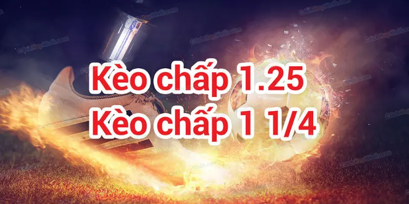 Khái niệm kèo chấp 1 1 4 là bao nhiêu